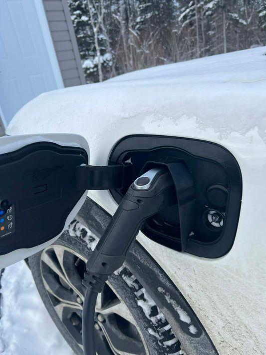 Protecteur De Port De Charge Ford Mustang Mach-E