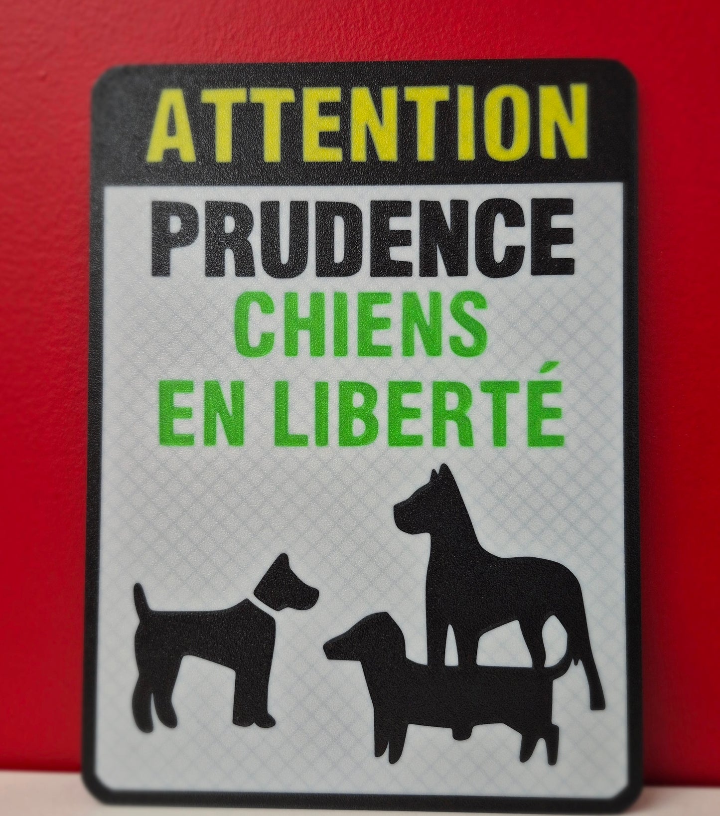 Affiche Chiens en Liberté